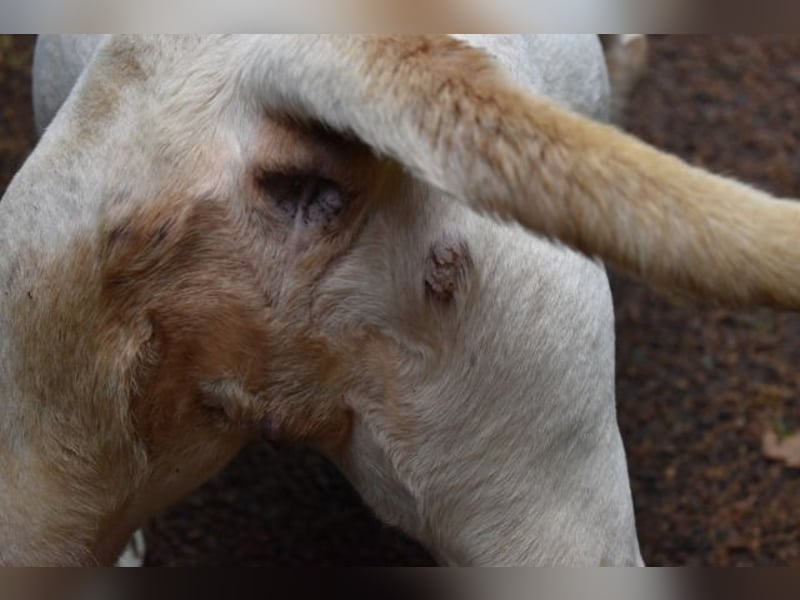 Nereida - Ein harter Platz für ein weiches Herz