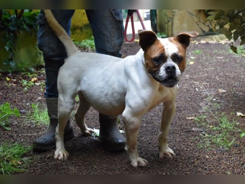 Nereida - Ein harter Platz für ein weiches Herz