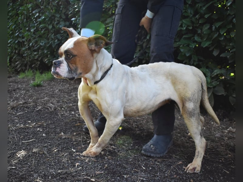 Nereida - Ein harter Platz für ein weiches Herz