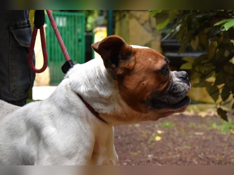 Nereida - Ein harter Platz für ein weiches Herz