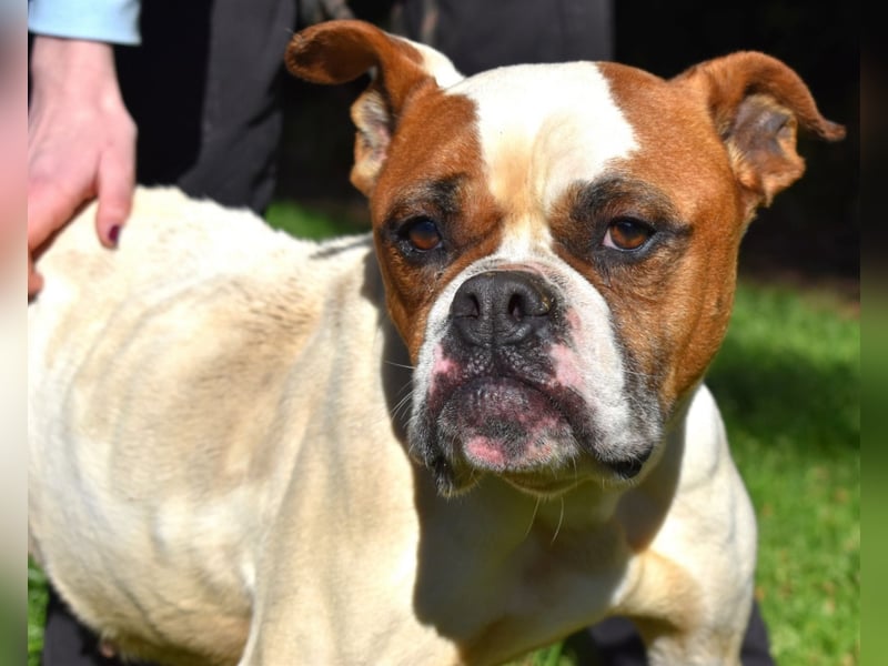 Nereida - Ein harter Platz für ein weiches Herz