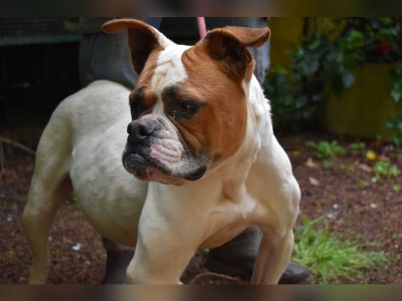 Nereida - Ein harter Platz für ein weiches Herz