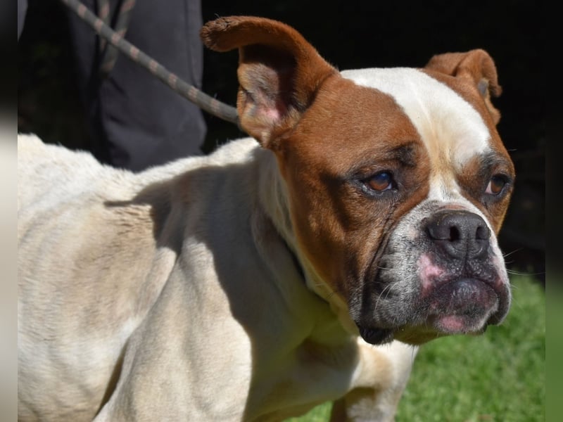 Nereida - Ein harter Platz für ein weiches Herz