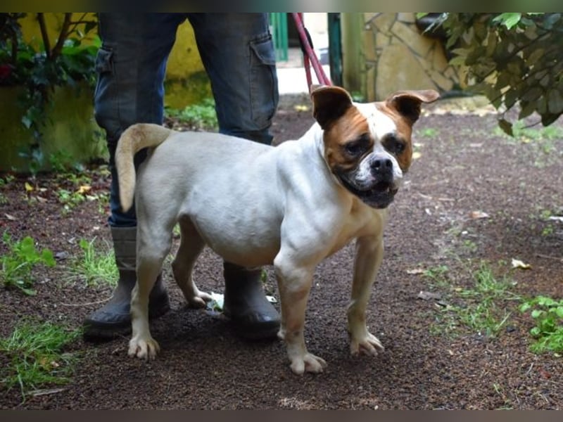 Nereida - Ein harter Platz für ein weiches Herz