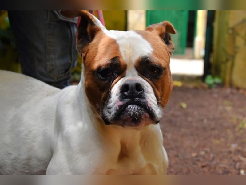 Nereida - Ein harter Platz für ein weiches Herz