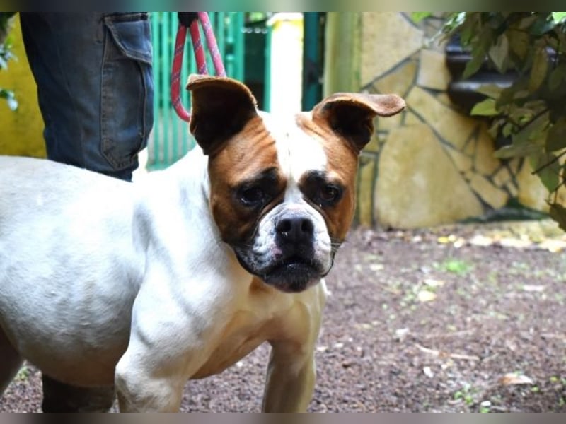 Nereida - Ein harter Platz für ein weiches Herz