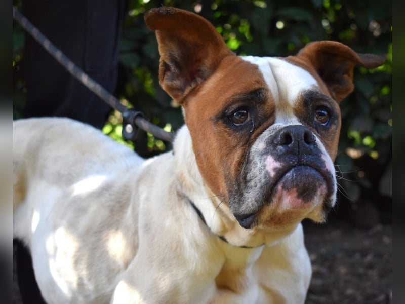 Nereida - Ein harter Platz für ein weiches Herz