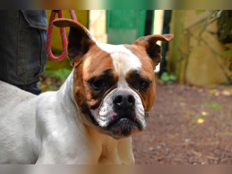 Nereida - Ein harter Platz für ein weiches Herz