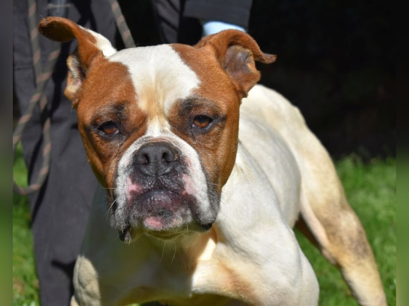 Nereida - Ein harter Platz für ein weiches Herz