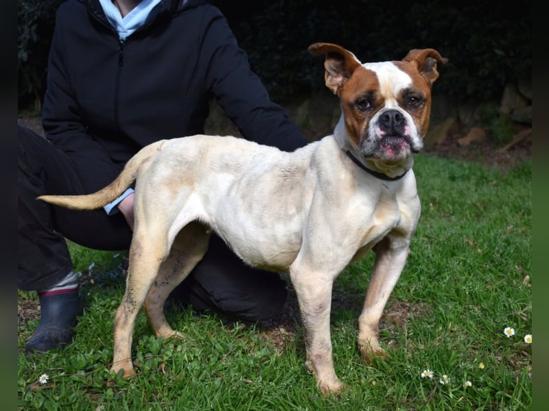 Nereida - Ein harter Platz für ein weiches Herz