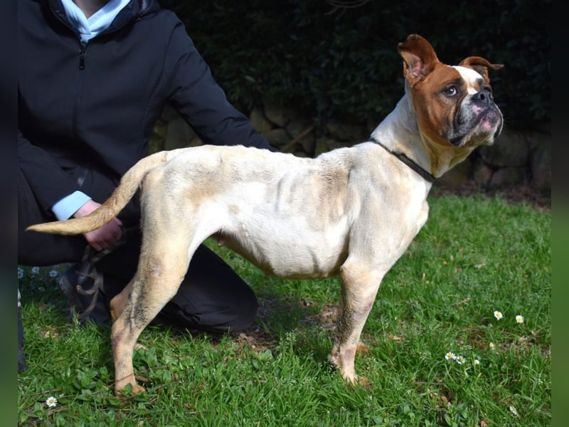 Nereida - Ein harter Platz für ein weiches Herz