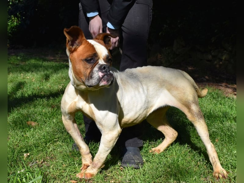 Nereida - Ein harter Platz für ein weiches Herz