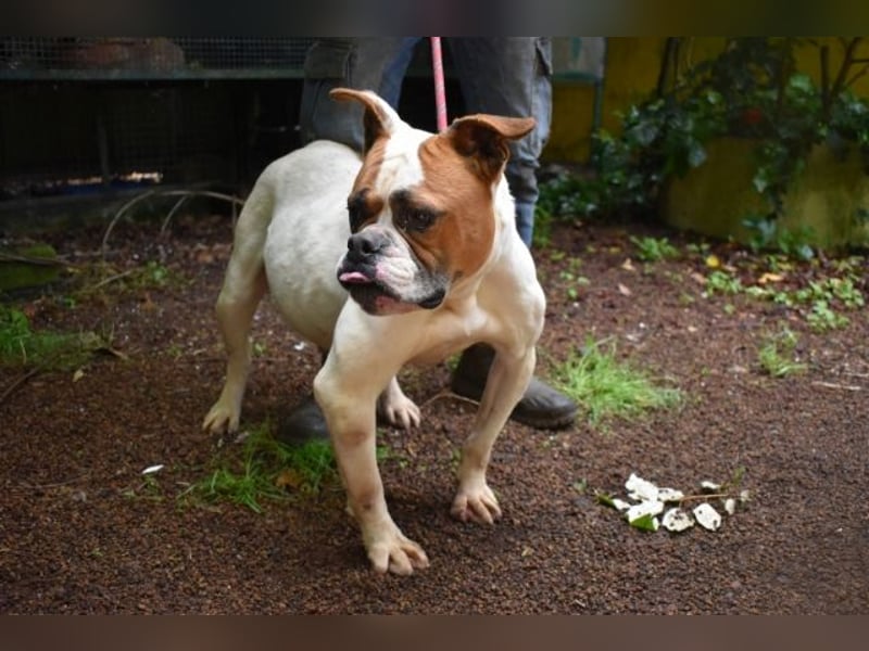 Nereida - Ein harter Platz für ein weiches Herz