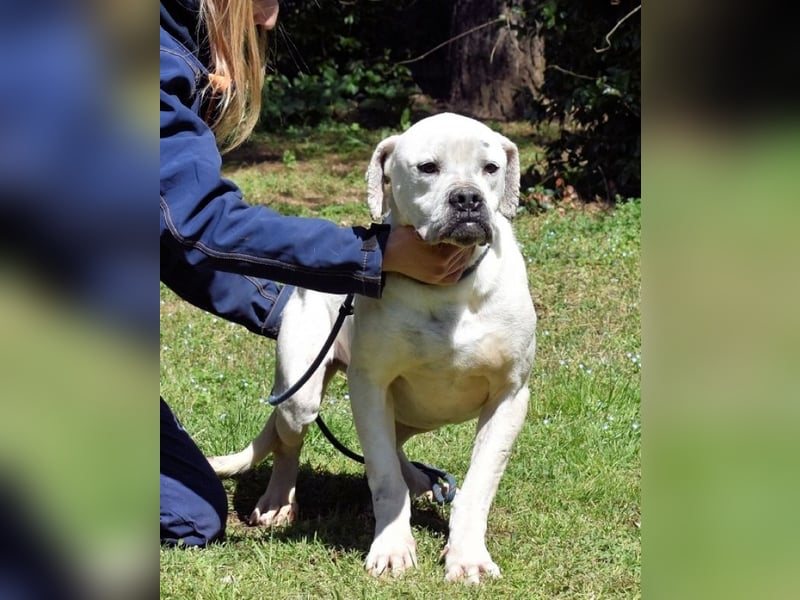Dollaro - In einer anderen Zeit
