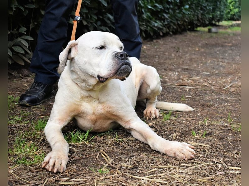 Dollaro - In einer anderen Zeit