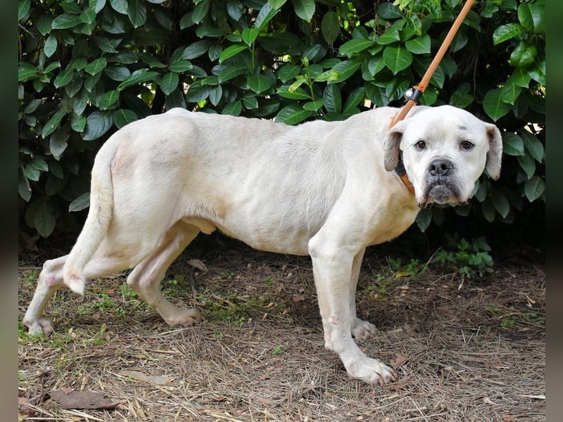 Dollaro - In einer anderen Zeit