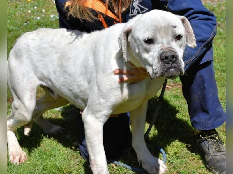 Dollaro - In einer anderen Zeit