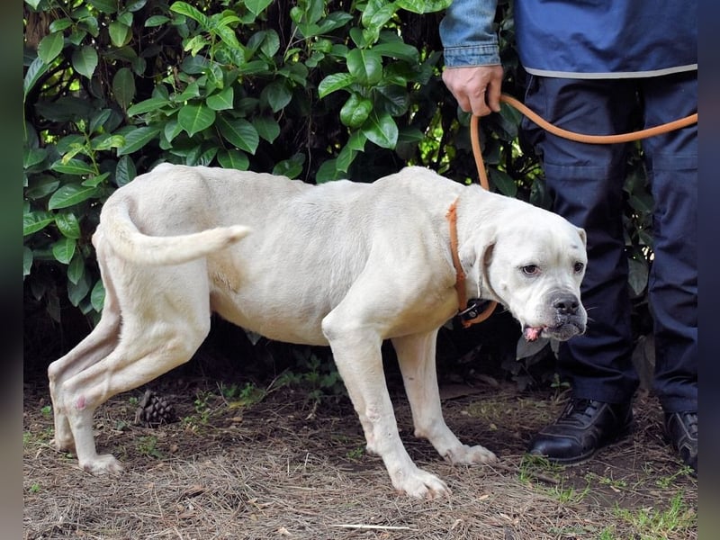 Dollaro - In einer anderen Zeit