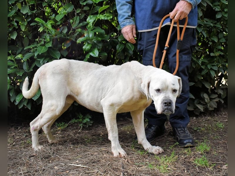 Dollaro - In einer anderen Zeit