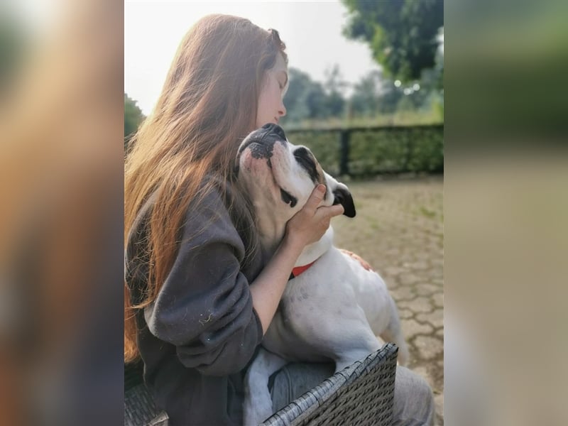 Branca - Knutschkugel sucht kompetente Pflegestelle