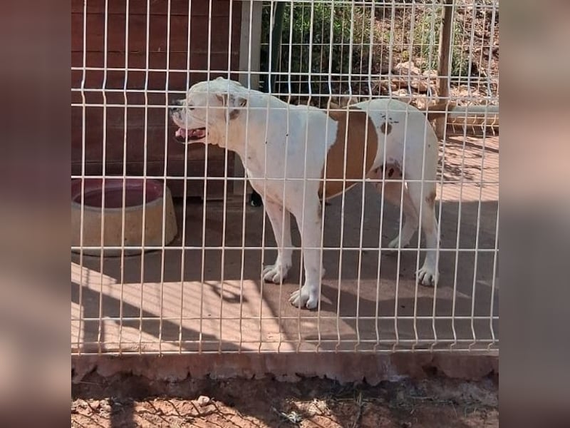 Erfahrene Pflege- oder Endstelle gesucht