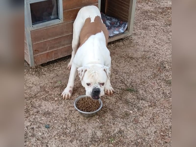 Erfahrene Pflege- oder Endstelle gesucht