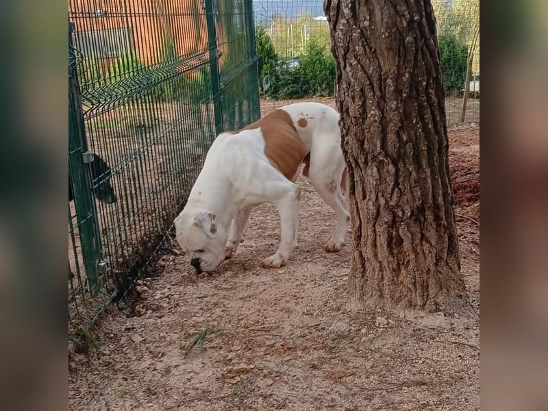 Erfahrene Pflege- oder Endstelle gesucht