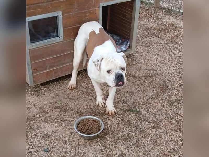 Erfahrene Pflege- oder Endstelle gesucht