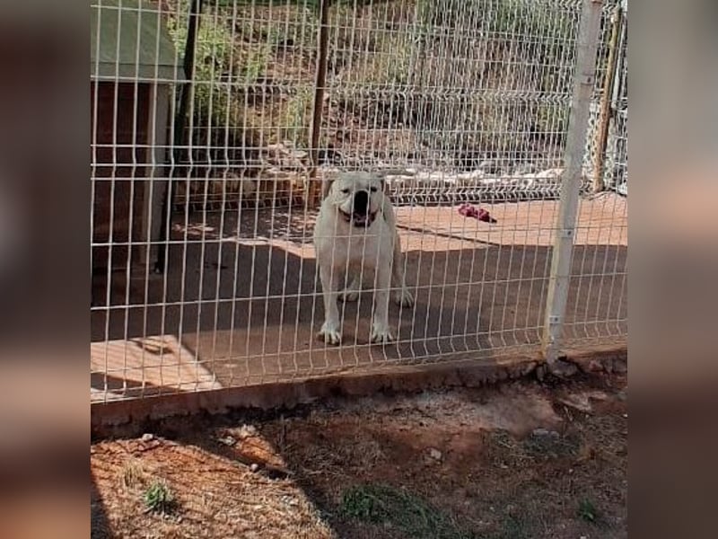 Erfahrene Pflege- oder Endstelle gesucht
