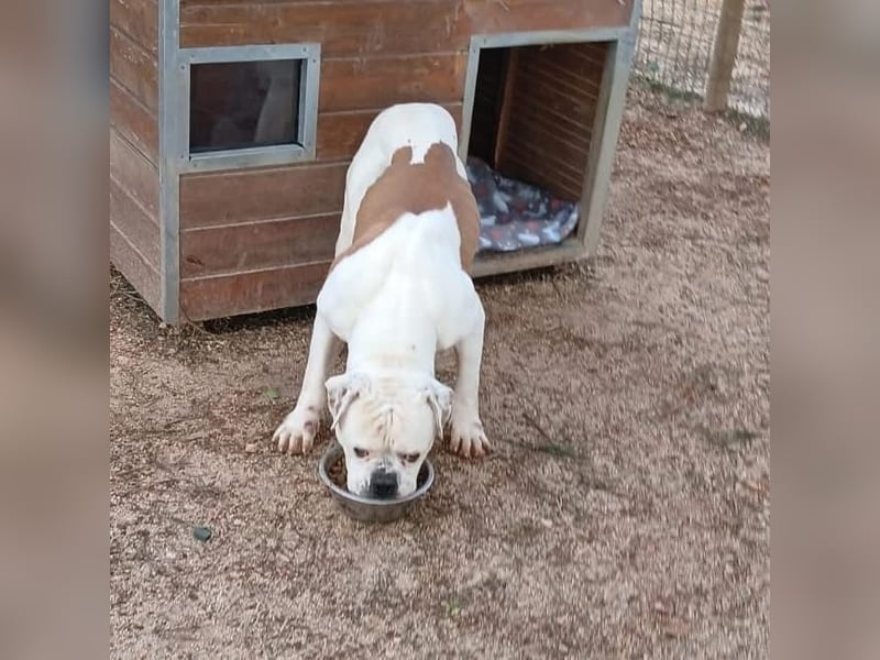 Erfahrene Pflege- oder Endstelle gesucht