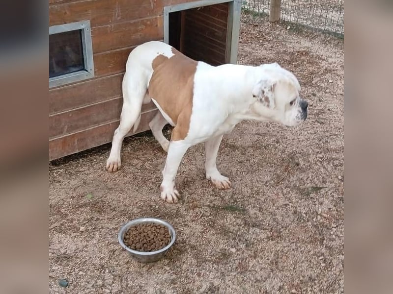 Erfahrene Pflege- oder Endstelle gesucht