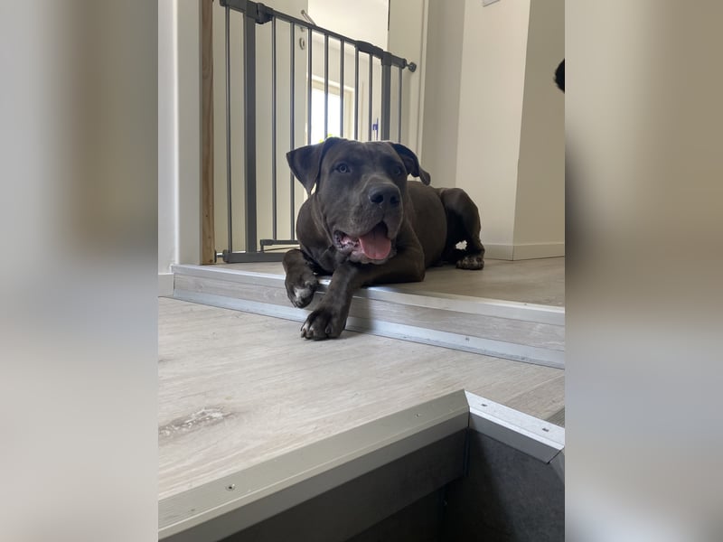 Eine Chance für Echo