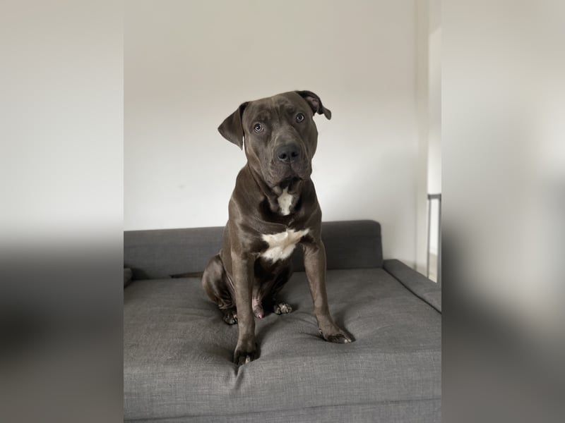 Eine Chance für Echo