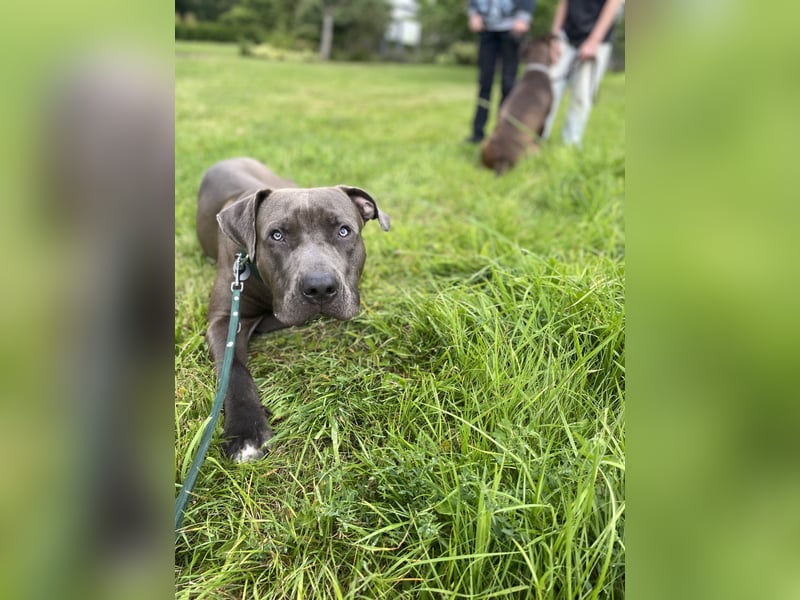 Eine Chance für Echo