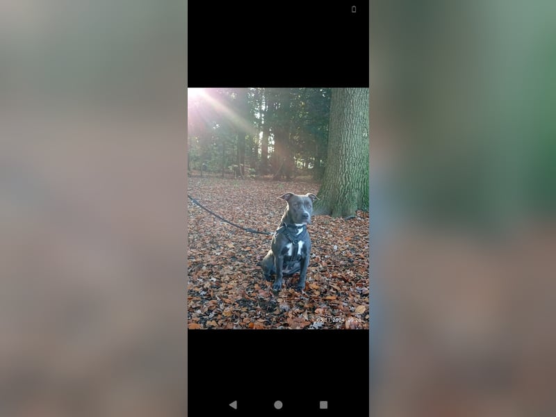 Marry Sucht ein neues Zuhause