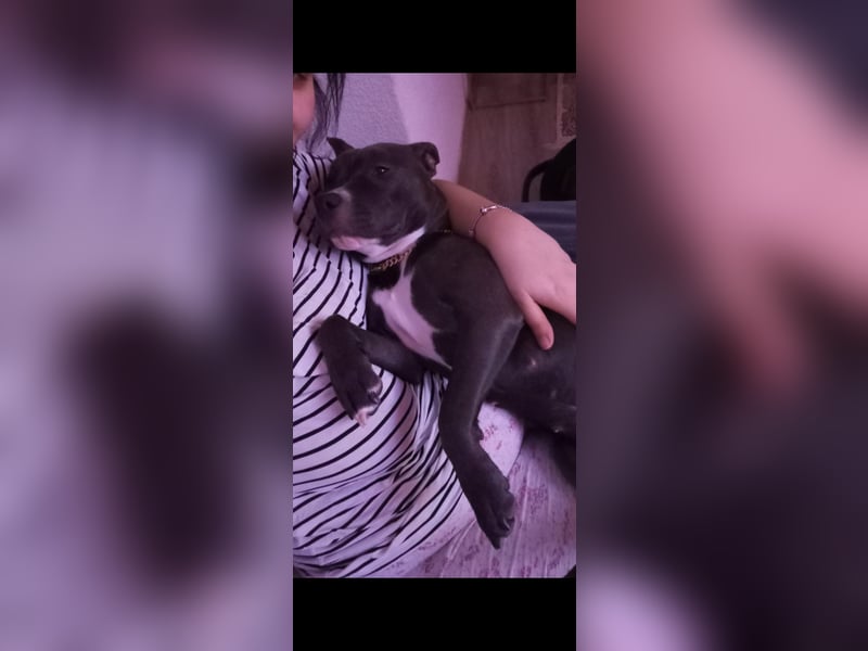 Marry Sucht ein neues Zuhause