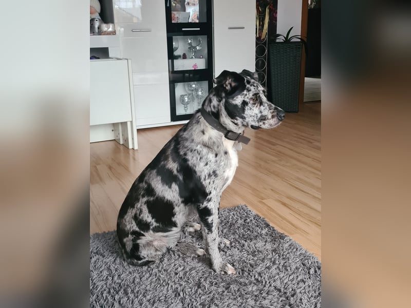 Kleine Bonny sucht Wegbegleiter