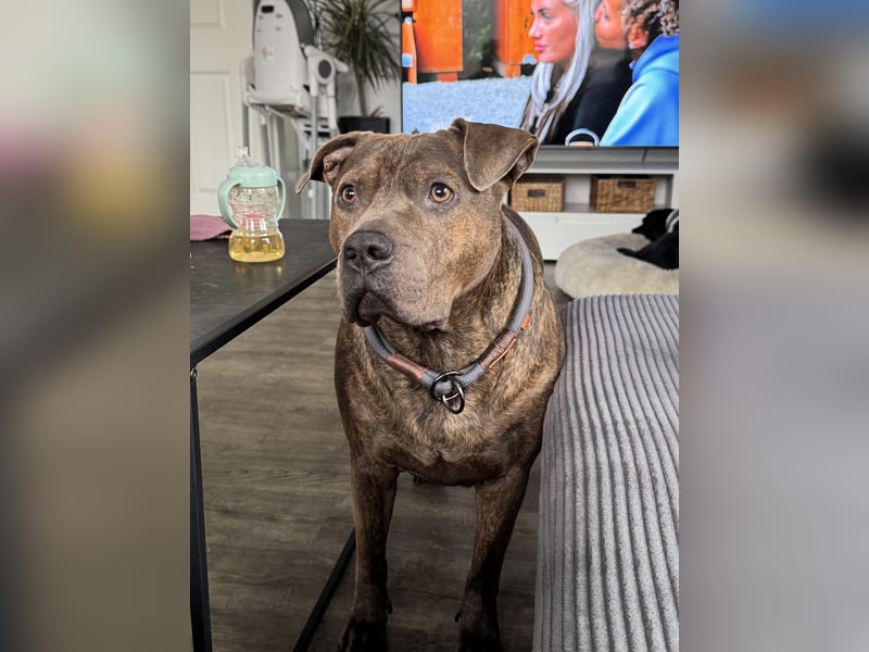 Suche dringend ein neues zu Hause