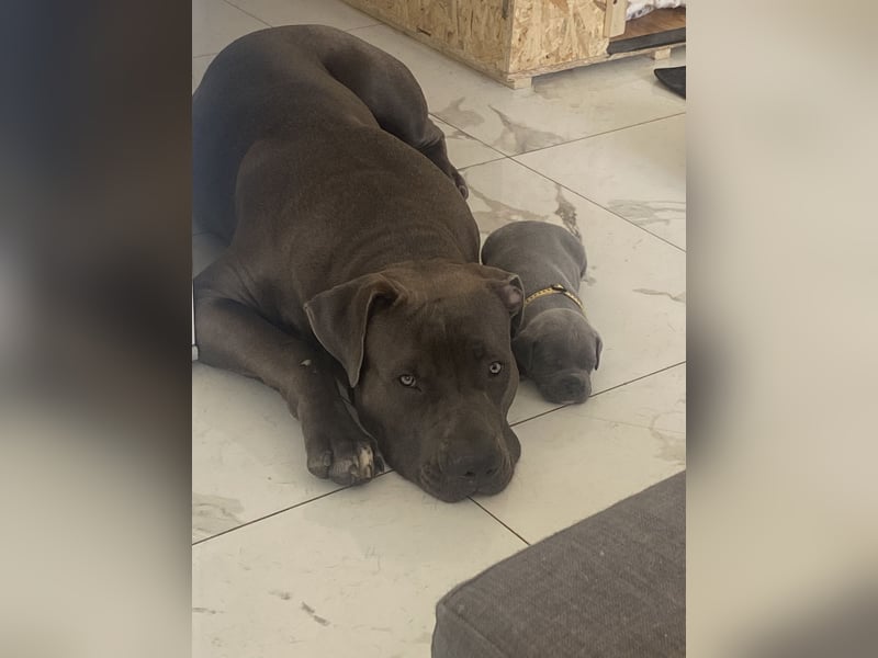 Eine Chance für Echo