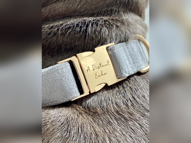 Eine Chance für Echo