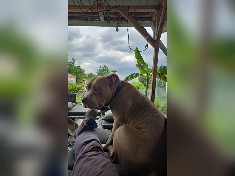 Dringend Neues zu Hause gesucht