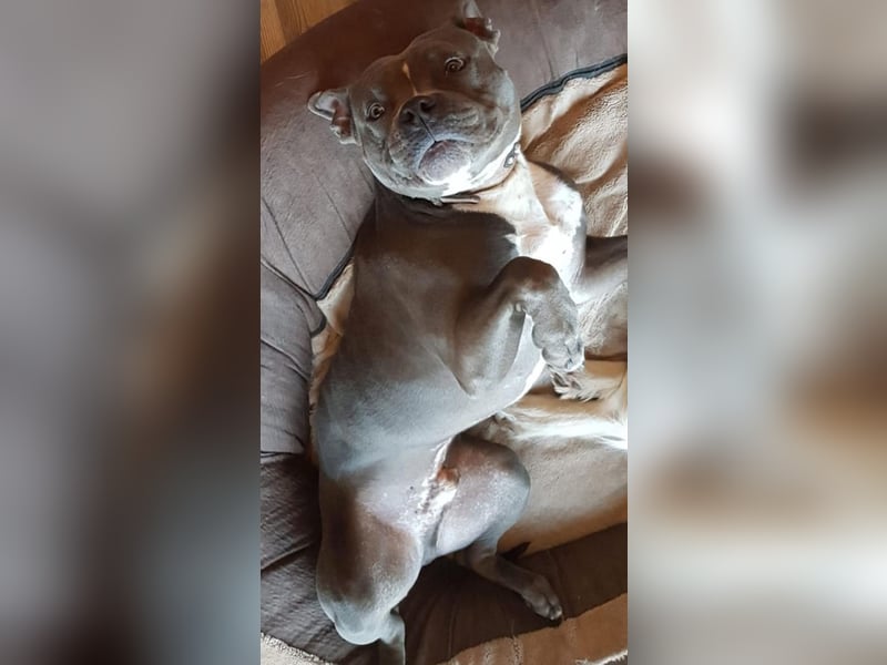 Eddy sucht dringend ein neues Zuhause