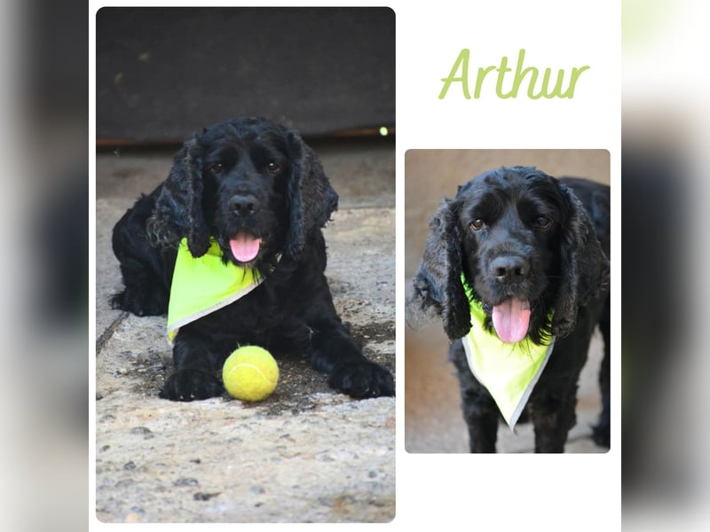Arthur