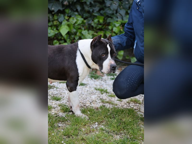 Betsy - SOS - Noch lange nicht am Ziel