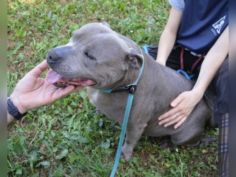 Bombolotto - Verliere bitte nicht die Hoffnung