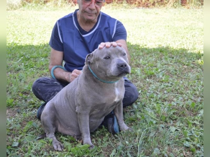 Bombolotto - Verliere bitte nicht die Hoffnung