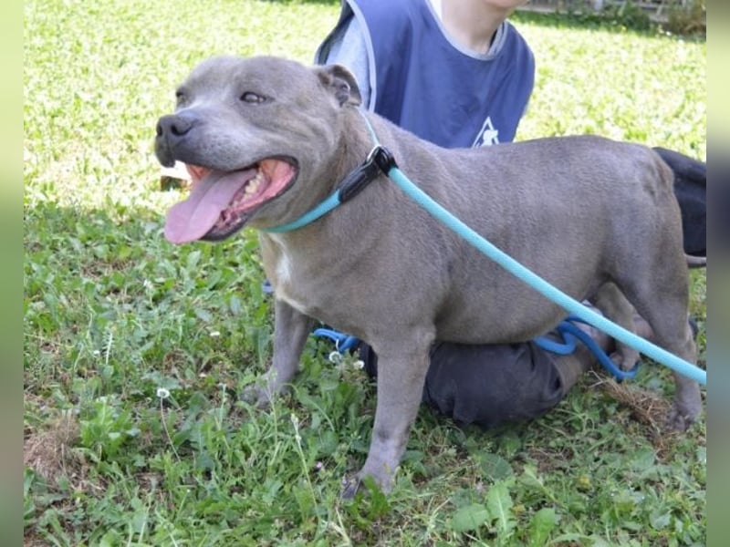 Bombolotto - Verliere bitte nicht die Hoffnung