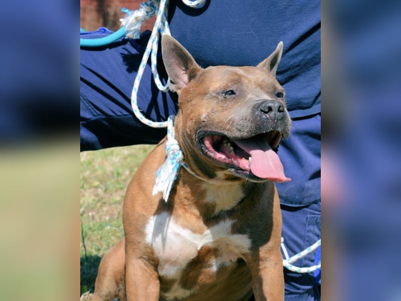 Rucola - auf der Suche nach dem vollkommenen Glück