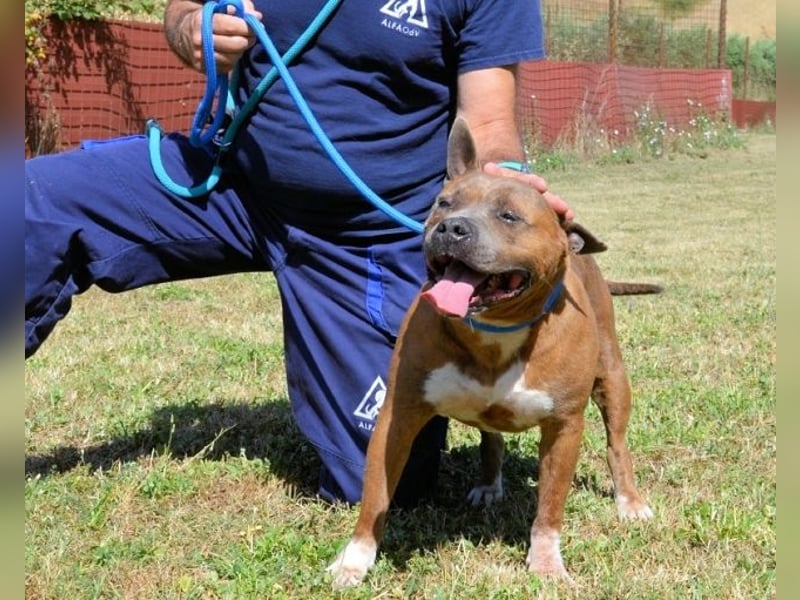 Rucola - auf der Suche nach dem vollkommenen Glück
