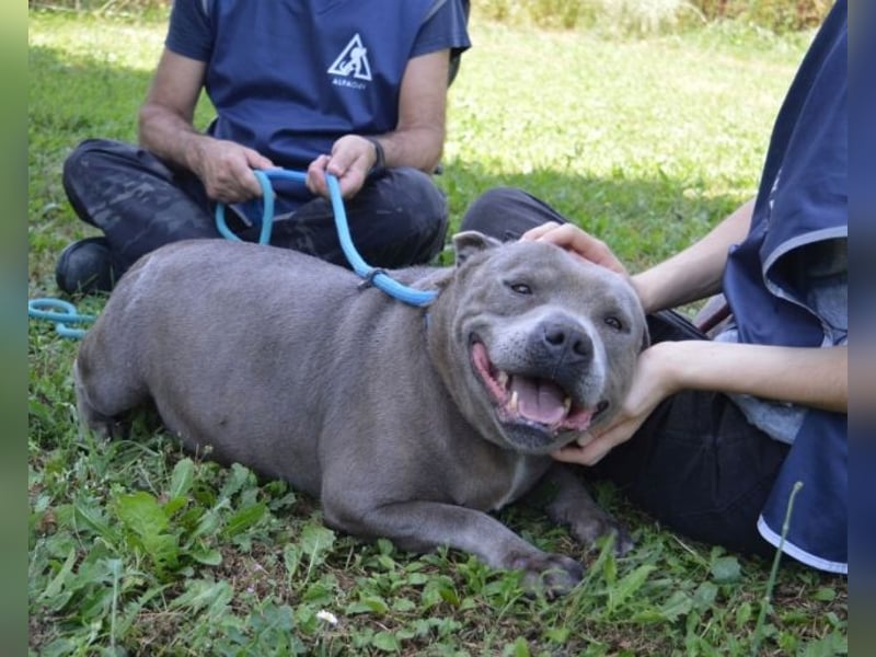 Bombolotto - Verliere bitte nicht die Hoffnung
